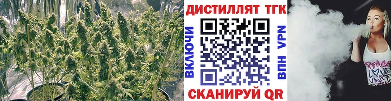 Дистиллят ТГК THC oil  купить наркотик  Чегем 