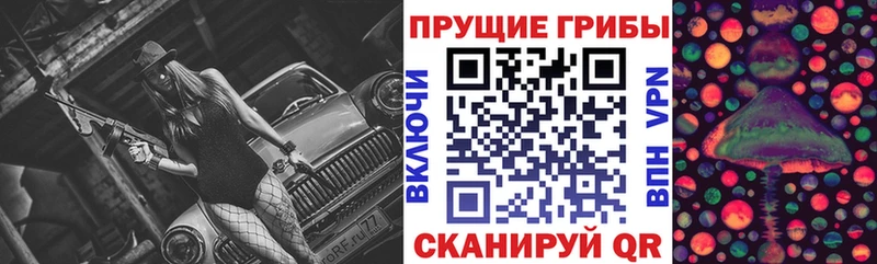 blacksprut зеркало  Чегем  Псилоцибиновые грибы GOLDEN TEACHER 